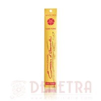 Incenso d'Auroville Ylang Ylang 10 sticks Himalaya