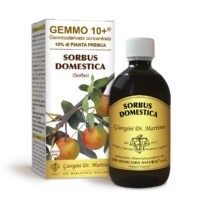 Gemmo 10+ Sorbo Domestico gemmoderivato di Sorbus Domestica 500ml - dr.Giorgini