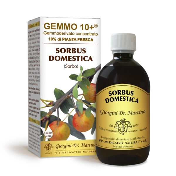 Gemmo 10+ Sorbo Domestico gemmoderivato di Sorbus Domestica 500ml - dr.Giorgini