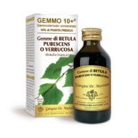 Gemmo 10+ Betulla bianca gemme 100ml (Betula alba, sinonimi Betula pubescens, Betula verrucosa o Betula pendula) gemmoderivato analcolico