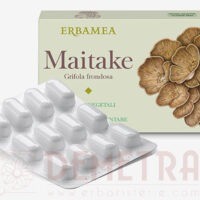 Maitake (Grifola frondosa) 24 capsule vegetali Erbamea difese dell’organismo e benessere generale
