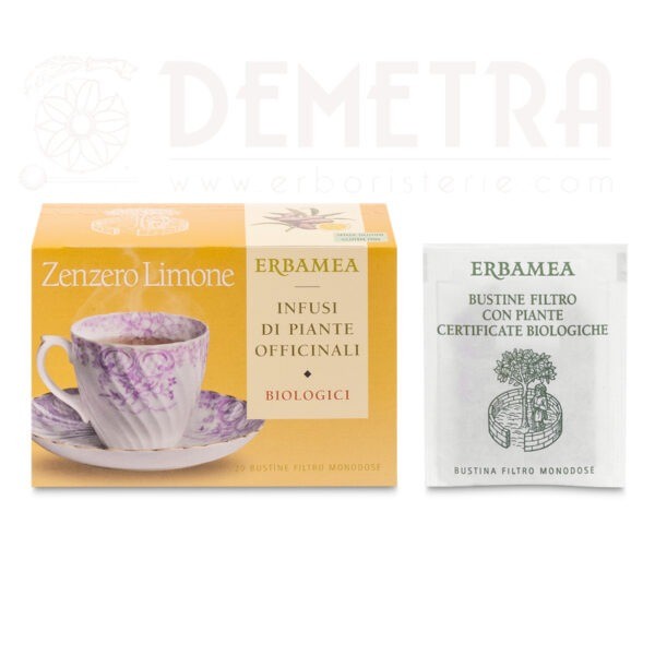 Zenzero e Limone infuso biologico 20 filtri Erbamea