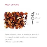 INFUSO DI FRUTTA 1 HG MELA E LIMONE      - 100 gr.