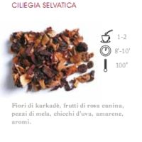 INFUSO DI FRUTTA 1 HG CILIEGIA SELVATICA - 100 gr.