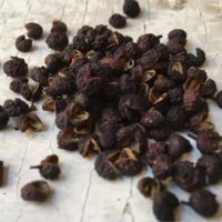 Pepe di Sichuan (Zantoxylum bungeanum) 40 gr