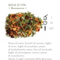 INFUSO DI FRUTTA 1 HG GIOIA DI VITA (BUONUMORE) - 100 gr.