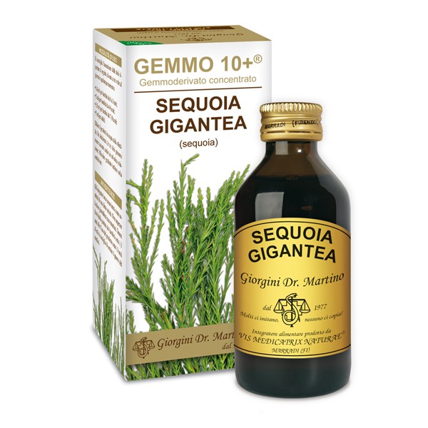 GEMMO 10+ SEQUOIA 100 ML ANALCOLICO