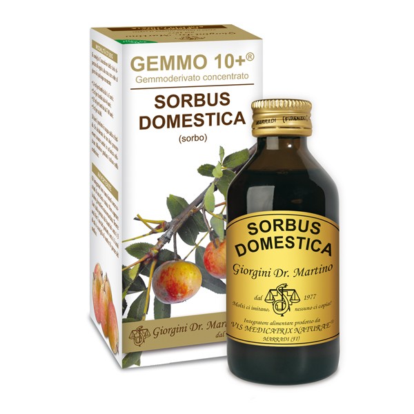 GEMMO 10+ SORBO DOMESTICO 100 ML ANALCOLICO