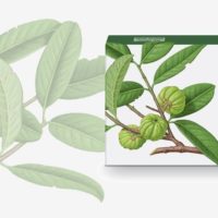 GARCINIA FORTE 30 COMPRESSE (GARCINIA CAMBOGIA) - ERBAMEA