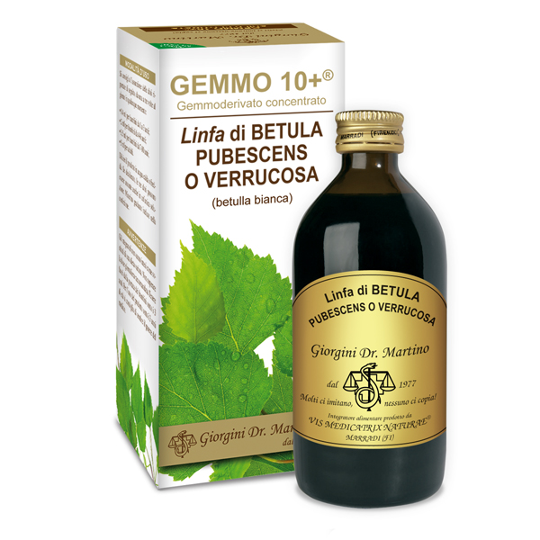 GEMMO 10+ BETULLA LINFA 200 ML ANALCOLIC