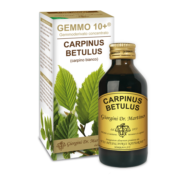 GEMMO 10+ CARPINO BIANCO 100ML ANALCOLIC