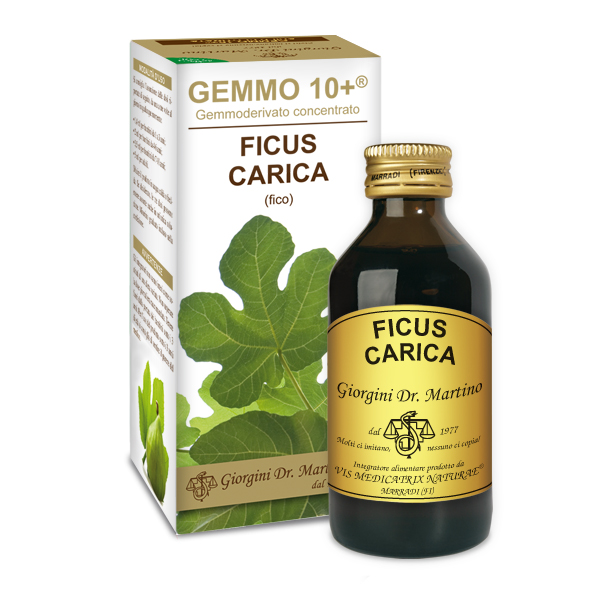 GEMMO 10+ FICO 100 ML FICUS ANALCOLICO