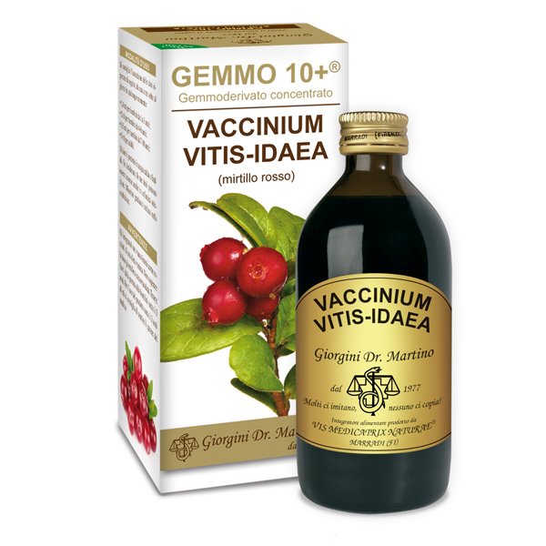 GEMMO 10+ MIRTILLO ROSSO 200ML ANALCOLIC