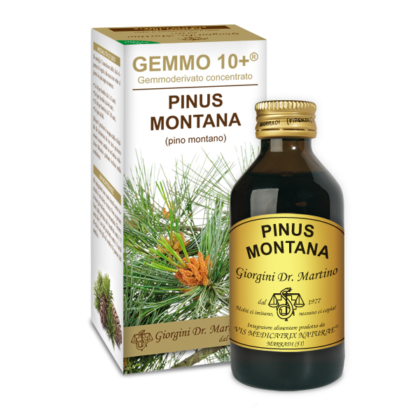 GEMMO 10+ PINO MONTANO 100 ML ANALCOLICO