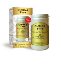 Colina Pura polvere solubile 100g Dr.Giorgini