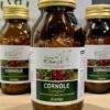 Cornole 90 capsule Corniolo (Cornus mas) antiossidante