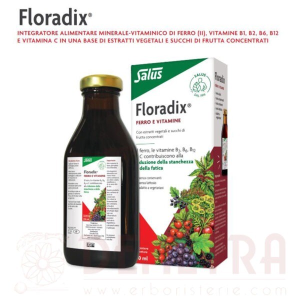 Floradix Ferro e Vitamine L'alleato contro la stanchezza 250ml Salus