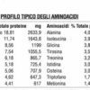 Spiru-Tein polvere solubile alla Vaniglia 544g bevanda proteica
