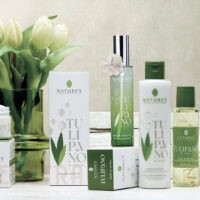 Kit regalo Tulipano Bianco di Nature's Novità!