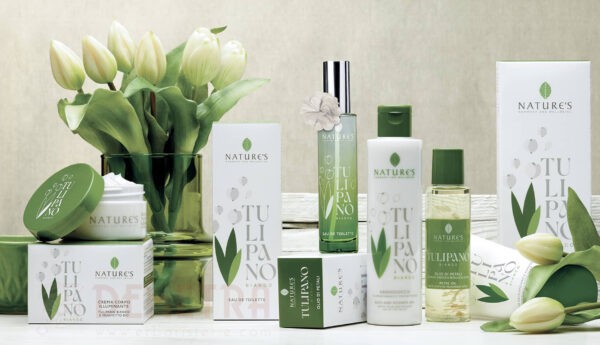 Kit regalo Tulipano Bianco di Nature's Novità!