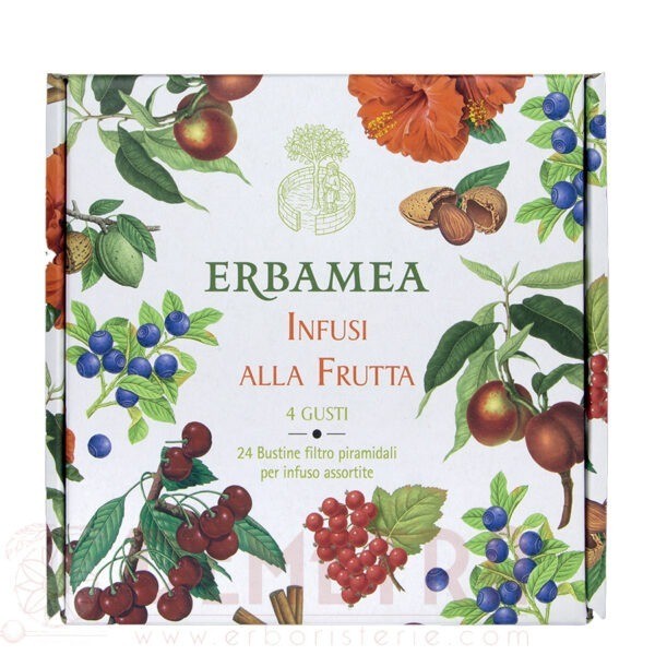 Scatola Regalo Infusi alla Frutta in 24 filtri piramidali