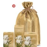 Regalo Iris Bianco Carezza Profumo, Bagnocrema e Crema Corpo in sacchetto Plissé