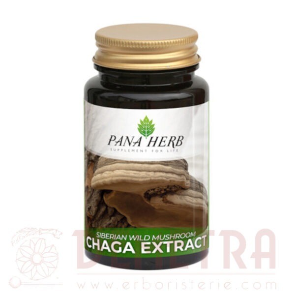 Chaga 60 capsule Inonotus obliquus Panaherb