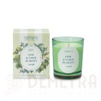 Candela di cera vegetale profumata Lime e foglie di Menta 180g Nasoterapia