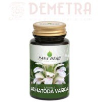 Adhatoda vasica da 60 capsule Pana Herb per il benessere delle vie respiratorie